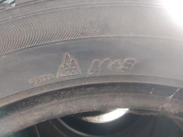 r15 20570: Шины 205 / 55 / R 16, Зима, Б/у, Комплект, Легковые — 2