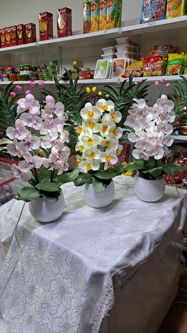 Утепленные жилеты: Орхидея 
Орхидея светильник 
Цветы Бишкек
Светильник 
Ручнаяработа — 6