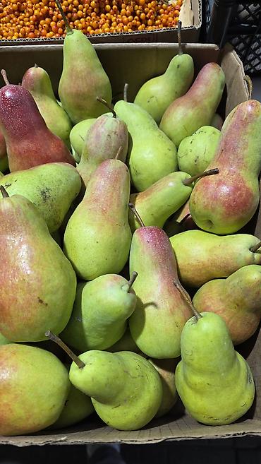 Апельсиндер: Свежие фрукты премиум-класса: - Ананас Caribbean Sweet Gold (Super — 9