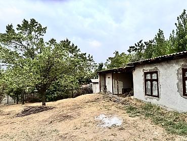 Продажа коттеджей и домов: Продается дом с общей площадью 12 сот. Территория дома 10 сотик и — 4