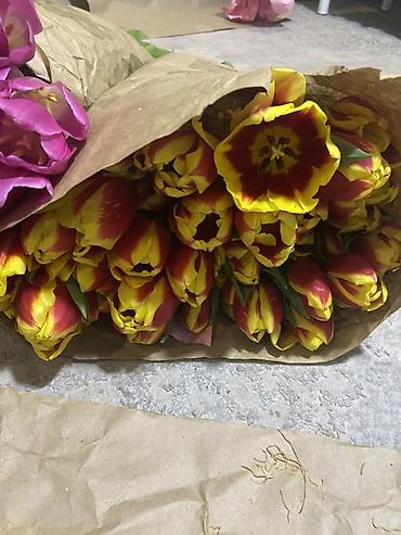 Букеты из живых цветов: Тюльпаны срезанные, упаковка по тюку в крафт-бумаге. - Палитра — 4