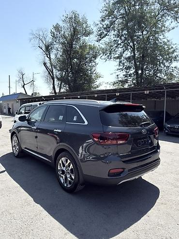 санато 2019: Kia Sorento: 2019 г., 2 л, Автомат, Дизель, Кроссовер — 6
