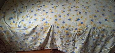 Pledlər: Pled — 6