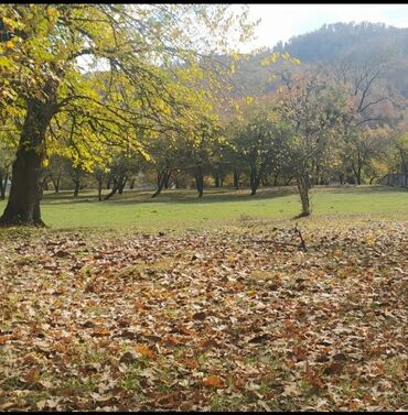 Torpaq sahələrinin satışı: 48 sot, Tikinti, Mülkiyyətçi, Bələdiyyə — 10