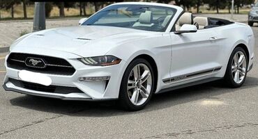 Ford: 2018-ci il Mustang. Toy, Nişan və digər tədbirlər üçün sifariş edə