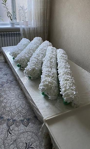 Декоративная подсветка: Декоративная подсветка — 9