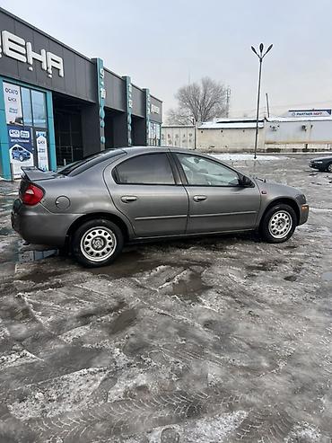 Dodge: Dodge Неон: 2003 г., 1.5 л, Автомат, Бензин, Седан — 4