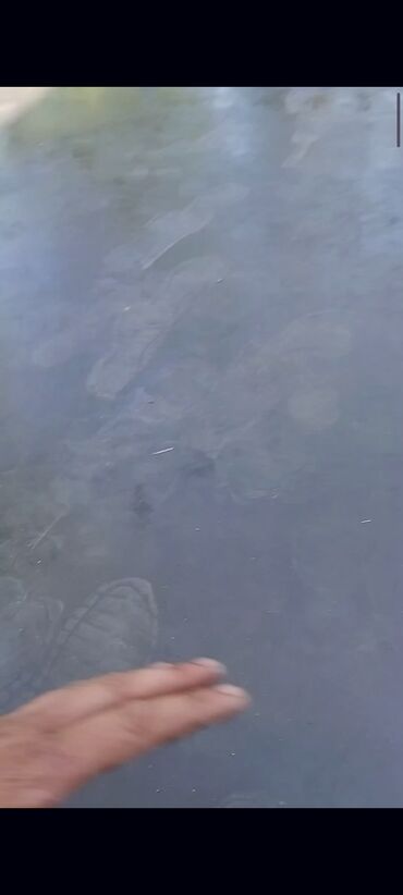 Бетонные работы: Стяжка Гарантия, Бесплатная консультация, Монтаж Больше 6 лет опыта — 8