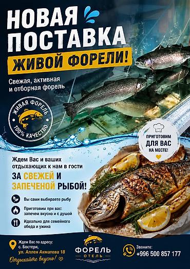 Живая форель — свежая, активная и отборная. Новая поставка. Что