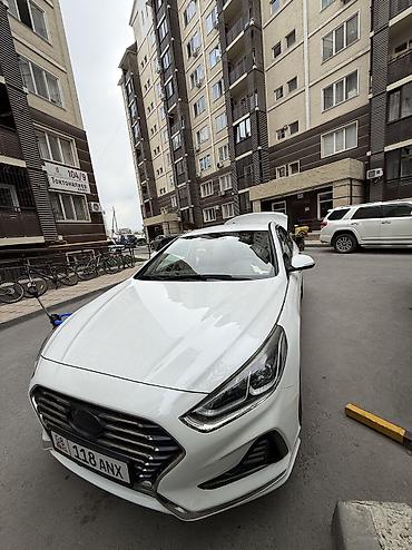 sonata 2012: Hyundai Sonata: 2017 г., Автомат, Газ, Седан — 6