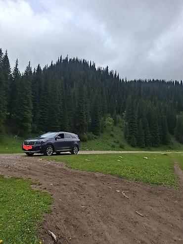 лабой: Kia Sorento: 2019 г., 2 л, Автомат, Дизель, Кроссовер — 9