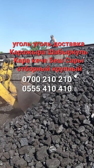 ���������� �� ������������������ в Кыргызстан | Уголь и дрова: Уголь отборный Доставка Шабыркуль Каражыра Кара кече Беш Сары