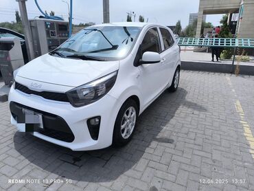 Kia: Kia Morning: 2019 г., 1 л, Автомат, Бензин, Хэтчбэк