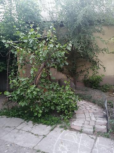 Продажа участков: 3 соток — 3