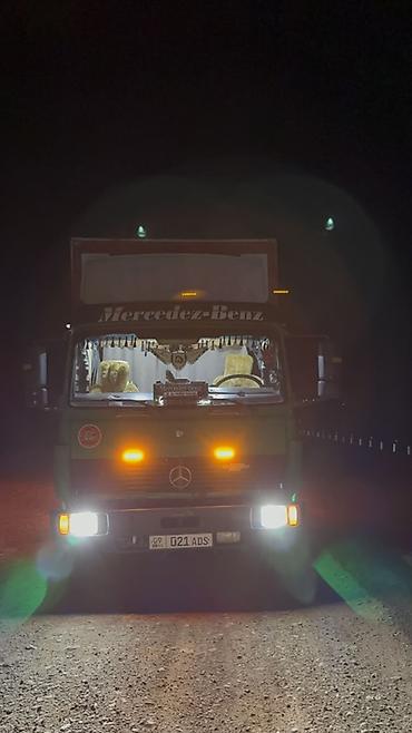 прицеп для перевозки животных: Грузовик, Mercedes-Benz, Дубль, 7 т, Б/у — 6