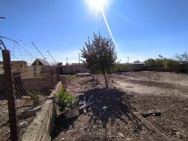 Torpaq sahələrinin satışı: 6 sot, Kənd təsərrüfatı, Kupça (Çıxarış) — 12