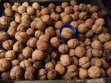 шкаф для сушки фруктов: Орехи 2025 с. Кок-Джар есть 20кг Самовывоз с. Кок-Жар На звонок не