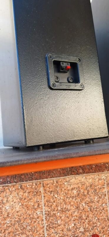 Dinamiklər və kolonkalar: Akustik sistem eksküliziv labirint qutuda sony dinamiklə və tviterlə — 6