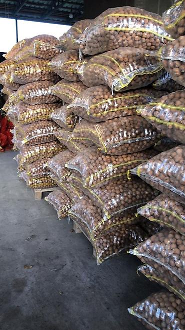 iran xurması ağacı: Məhsul: Qabıqlı qoz (butulkada torbalarda) Krasnadar qozu Topdan — 2