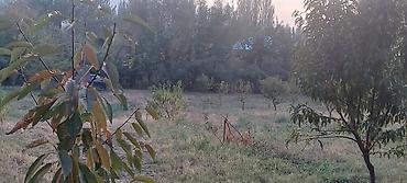 Продажа участков: 30 соток at lalafo.kg — 9 Продажа участков: 30 соток — 9