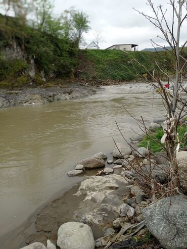 Bağ evlərinin kirayəsi: 40 kv. m, 2 otaqlı, Hovuzsuz, Kanalizasiya, İşıq, Qaz — 24