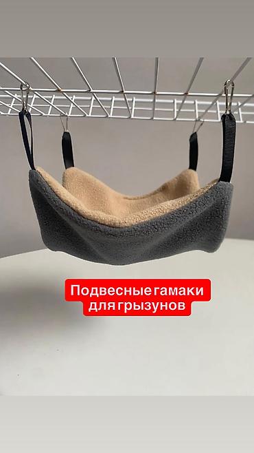 крысу: Гамаки подвесные для крыс, хомячков, мышей, песчанок, морских свинок — 1