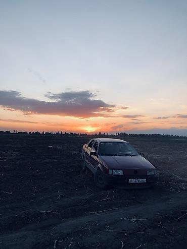 camry 1999: Volkswagen Passat: 1990 г., 1.6 л, Механика, Бензин, Седан — 3