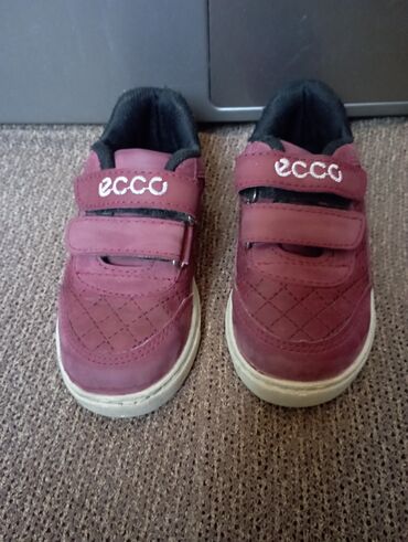 детская бальная обувь: Кроссовки, Для мальчиков, 24, Ecco