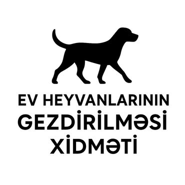 Reklam, çap: Ev heyvanlarının gəzdirilməsi xidməti – Gəncə 🐶🐾 Salam! Mən tələbəyəm