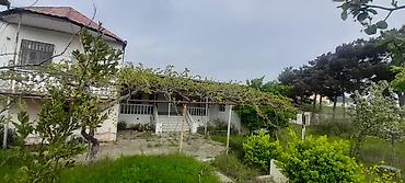 Torpaq sahələrinin satışı: Tikinti, Kupça (Çıxarış) — 2