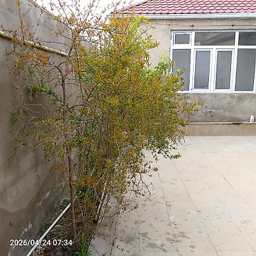 Дома: Масазыр 3 комнаты, 90 м² — 3