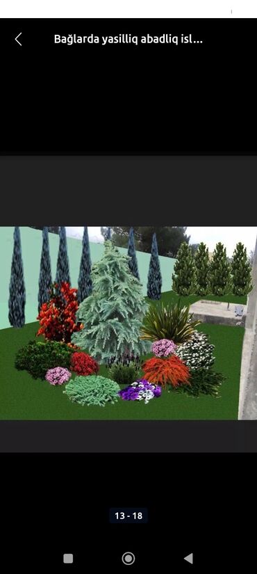 Toxumlar: Qazon çatrlma qurasdrma torf gubresi dermanlanmasi agaclarin ekini — 3