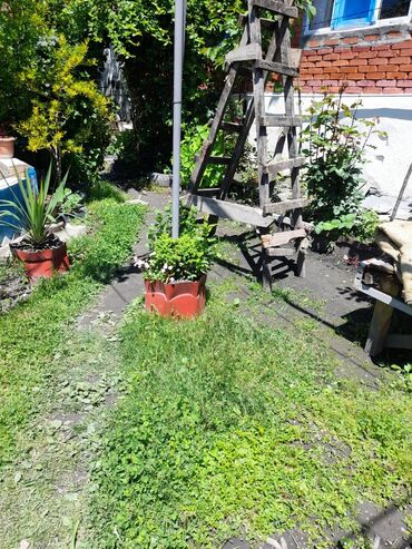 Günlük kirayə evlər: 200 kv. m, 4 otaqlı, Artezian quyusu, Kanalizasiya, Qaz — 6