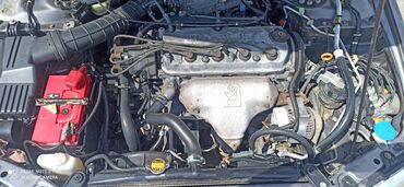 Honda Accord: 2001 г., 1.8 л, Автомат, Бензин, Седан