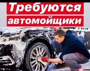 полировка паста: Требуется Автомойщик, Оплата Ежедневно, Процент от дохода, Без опыта