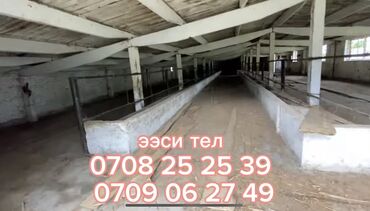 Сельхоз предприятия: 40 соток, Действующий, С оборудованием — 11