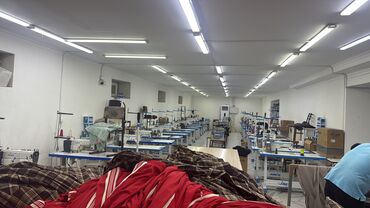 тошок тигуу: Тикмечи Түз тигиш тигүүчү машина
