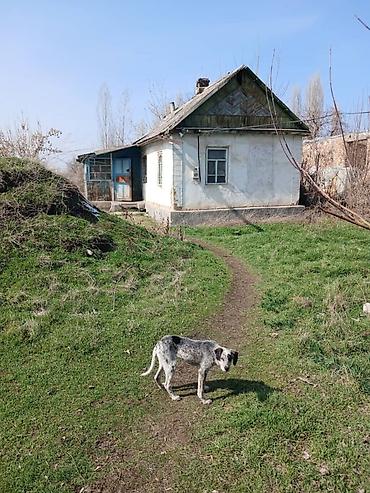1 bedroom: 41 соток, Для бизнеса, Красная книга, Тех паспорт — 4