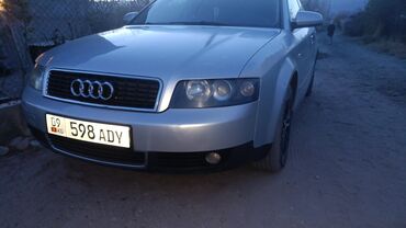 краска на машину: Audi A4: 2001 г., 2 л, Механика, Бензин, Седан