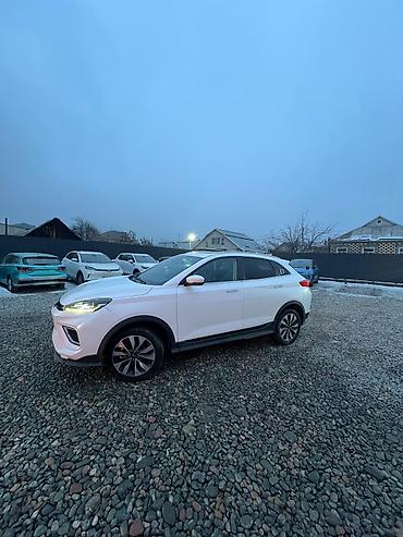 Weltmeister: Weltmeister 2021 г., Передний, В наличии — 4