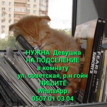 сдаю комнату балыкчы: 15 м², С мебелью