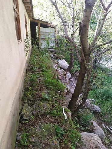 Продажа участков: 3 соток, Для строительства, Красная книга, Тех паспорт — 3