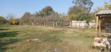 Torpaq sahələrinin satışı: 13 sot, Tikinti, Mülkiyyətçi, Kupça (Çıxarış) — 4