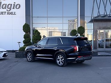 мини зеркало: Hyundai Palisade: 2019 г., 2.2 л, Автомат, Дизель, Кроссовер — 4
