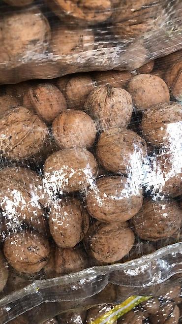 iran xurması ağacı: Məhsul: Qabıqlı qoz (butulkada torbalarda) Krasnadar qozu Topdan — 1