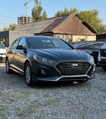 повесить телевизор на стену цена: Сдаю Hyundai Sonata, Посуточно, Без водителя, | Залог, Водительские права, От 18 лет