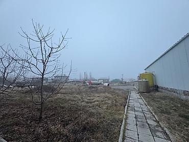 тупик: Завод, Действующий, С оборудованием, 1410 м² — 9