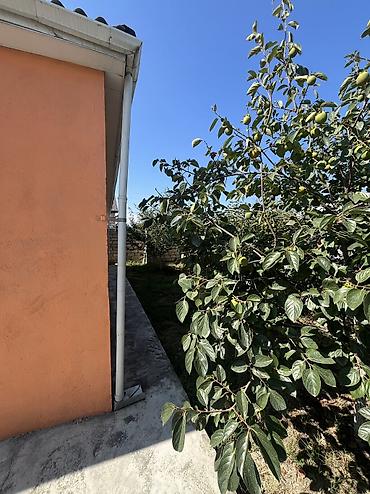 biləcəridə bina evi mənzil: 3 otaqlı, 100 kv. m, Kredit yoxdur, Orta təmir — 4