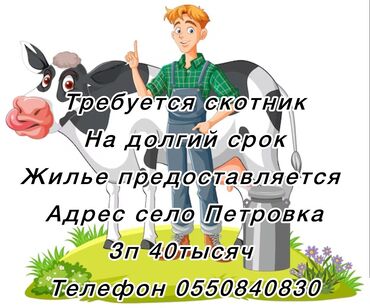 работа для подростков в интернете: Требуется Скотник, Оплата Еженедельно, Обучение
