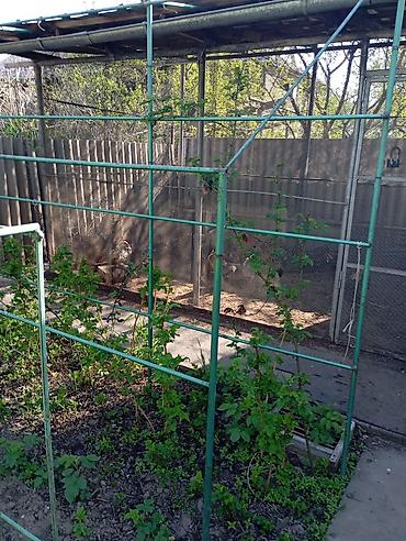Продажа участков: 8 соток, Для строительства, Красная книга — 27